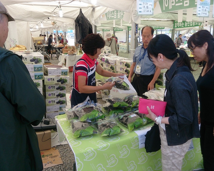 春川(チュンチョン)グルメと農産物産展_b0060363_23182861.jpg