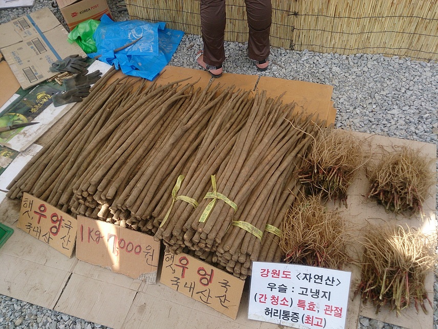 春川(チュンチョン)グルメと農産物産展_b0060363_23195562.jpg