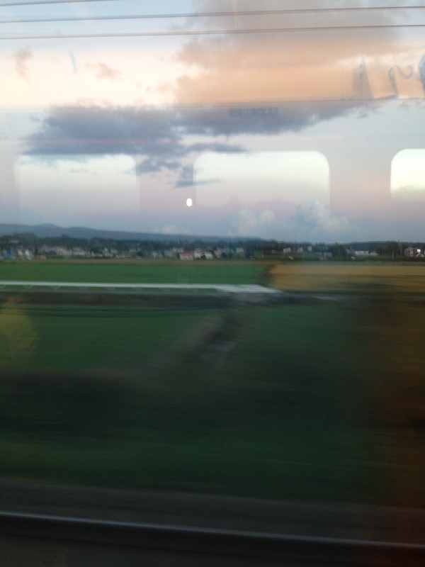 d0320463_04441146.jpeg