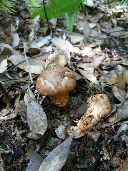 c0245666_20005956.jpg