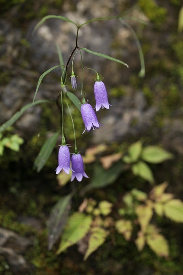 e0304170_21481367.jpg