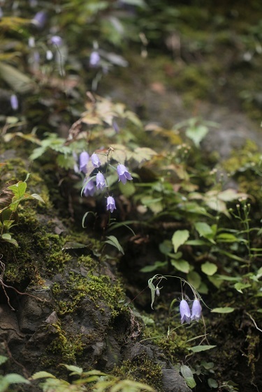 e0304170_21492765.jpg