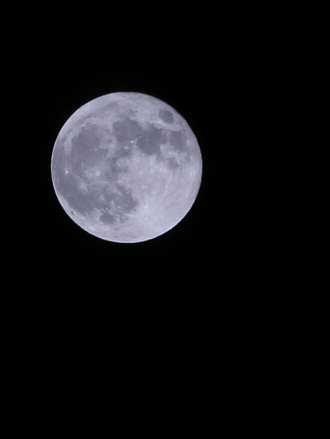 a0269673_23030939.jpg