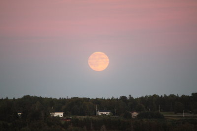c0353373_21413784.jpg