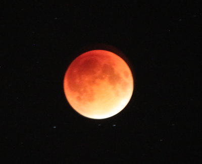 c0353373_21414489.jpg