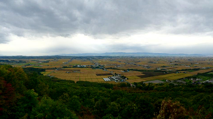 b0321680_21450950.jpg