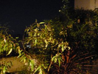 2015年9月28日 ちょっと秘密だよ_b0098584_18523956.jpg
