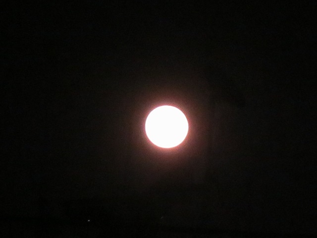 b0336384_22563760.jpg