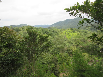 f0053885_20301058.jpg