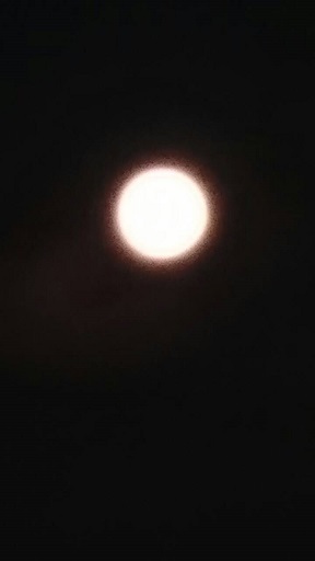 b0266191_10114163.jpg