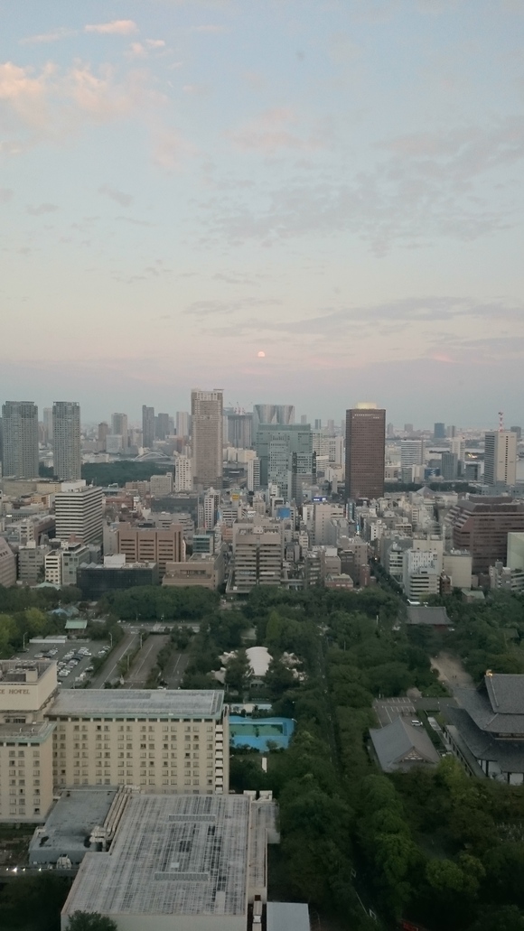 久々の東京タワー_c0066693_18545174.jpg