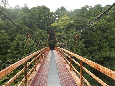f0308898_9184429.jpg