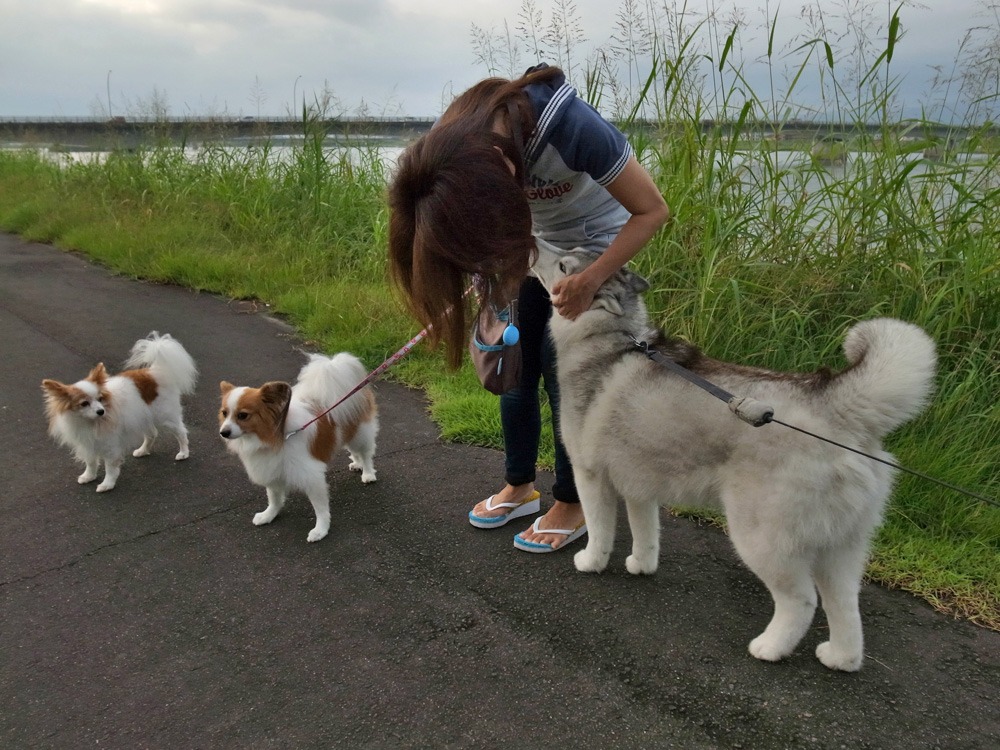 レッ君とおばちゃま　(^o^)_c0049299_22523757.jpg