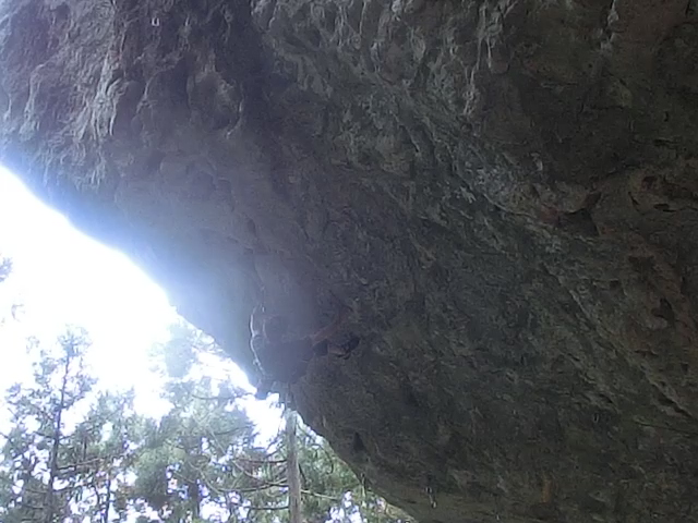 鳳来 復帰 後半戦の始まり_d0151699_026135.jpg