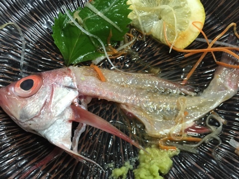 久々の おはよう堂_e0115904_15135387.jpg