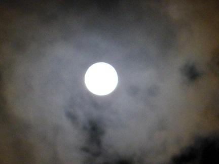 b0198109_11322589.jpg