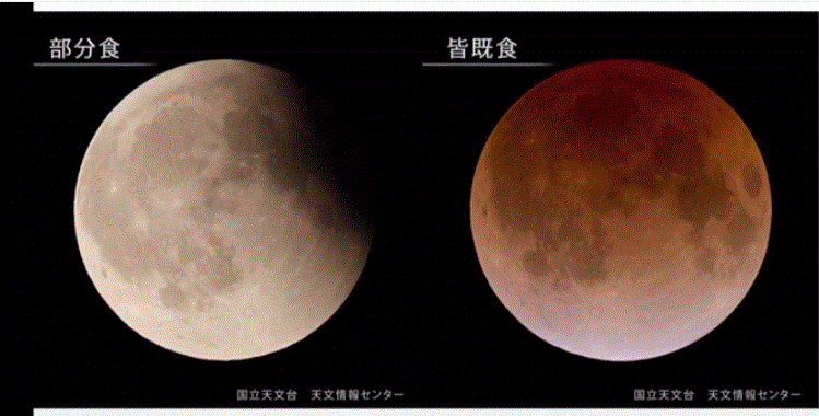 f0231709_614539.gif