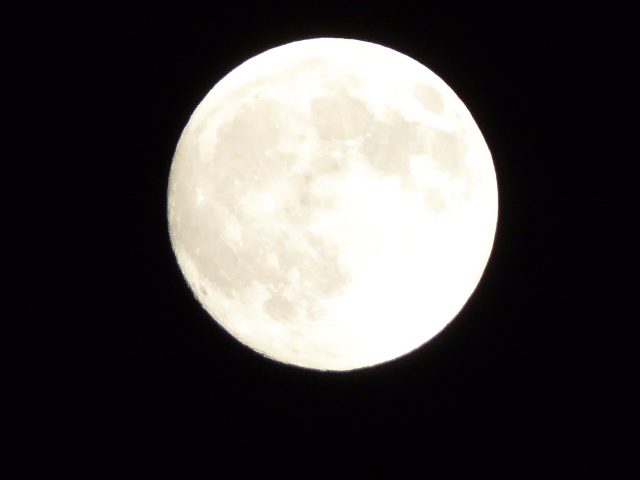 a0080610_10513427.jpg