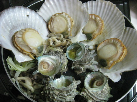 b0183111_16205226.jpg