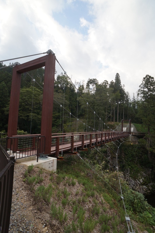 月瀬の大杉　長野県根羽村_e0292414_06154136.jpg