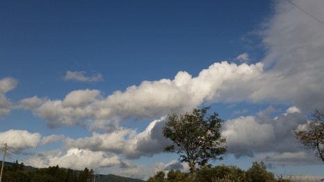 f0357714_18491112.jpg