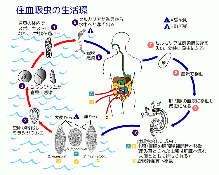 a0315918_19432628.png