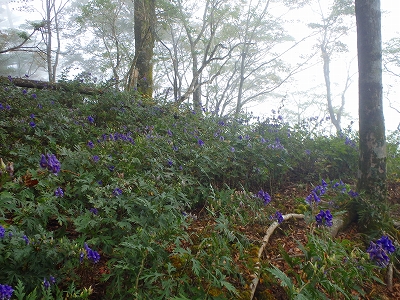 f0193521_411655.jpg