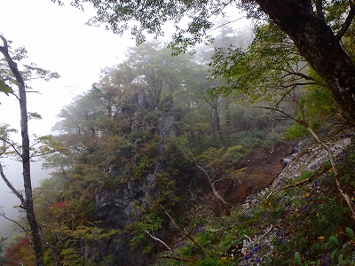 水上越～アンドウ谷～七遍巡～登山口_f0193521_4373963.jpg