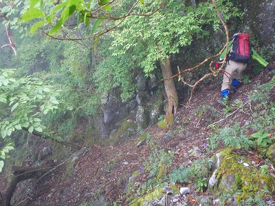 水上越～アンドウ谷～七遍巡～登山口_f0193521_4405037.jpg