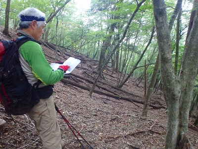 水上越～アンドウ谷～七遍巡～登山口_f0193521_4513245.jpg