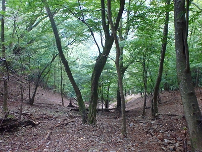 水上越～アンドウ谷～七遍巡～登山口_f0193521_525039.jpg