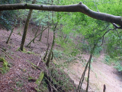 f0193521_533675.jpg