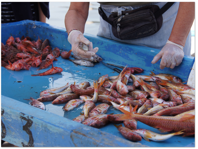 西地中海クルーズ(5) フランス・マルセイユ/イフ島へ_d0210324_7291695.jpg