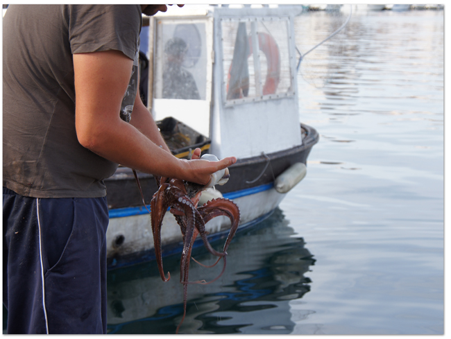 西地中海クルーズ(5) フランス・マルセイユ/イフ島へ_d0210324_7293194.jpg