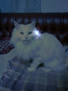 f0070628_3462644.jpg