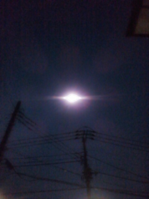 c0221732_1453244.jpg