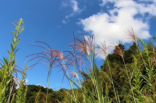 a0242438_19152399.jpg
