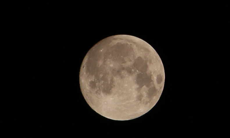 a0056140_16391344.jpg