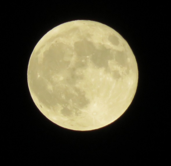 スーパームーン_f0002743_1583368.jpg