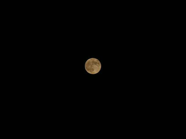 e0183949_20542066.jpg