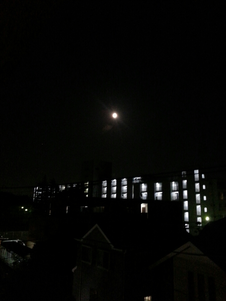 f0345353_19104344.jpg