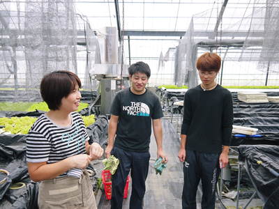 水耕栽培 ほうれん草、サラダレタス、水菜のネット独占販売に向けて!_a0254656_17581780.jpg