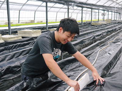 水耕栽培 ほうれん草、サラダレタス、水菜のネット独占販売に向けて!_a0254656_1781963.jpg