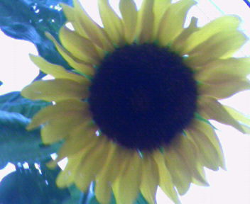 b0105259_1814998.jpg