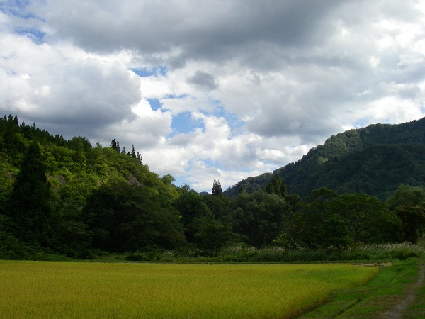 f0212059_2243321.jpg