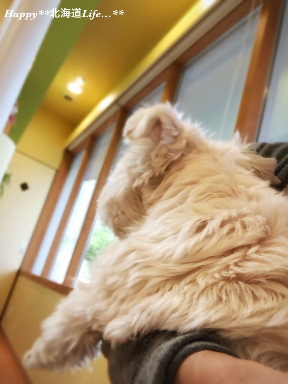 a0337860_22591201.jpeg