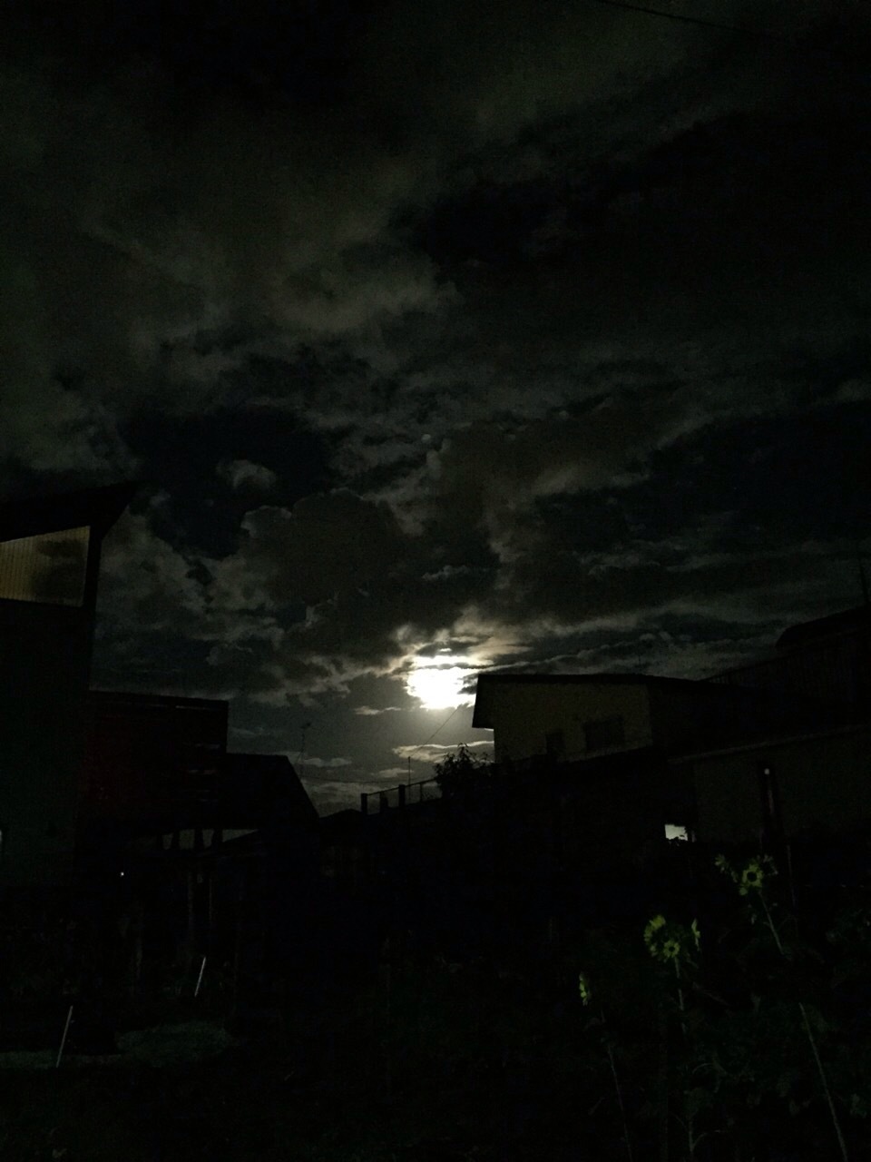 d0320463_06321619.jpeg