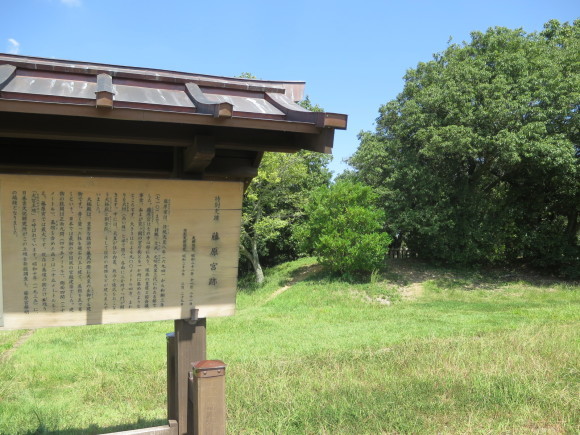 c0001670_19501216.jpg