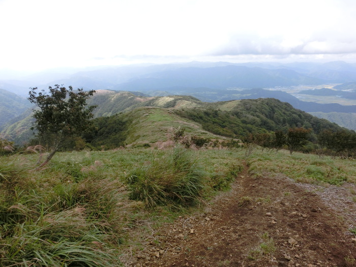b0185573_6563284.jpg