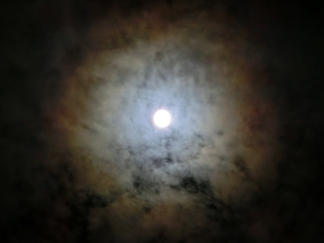 d0147774_0353990.jpg